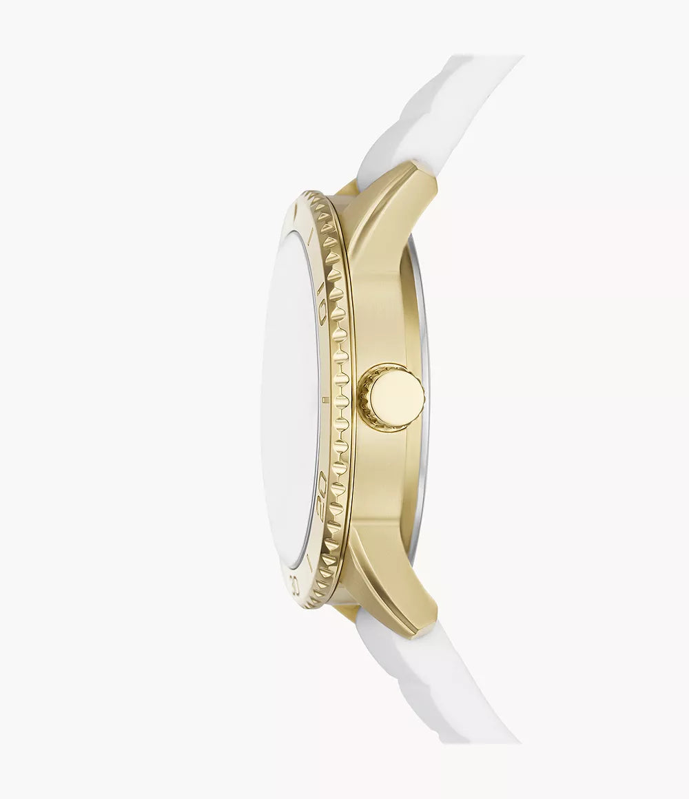 Fossil Dayle Reloj para Señorita
