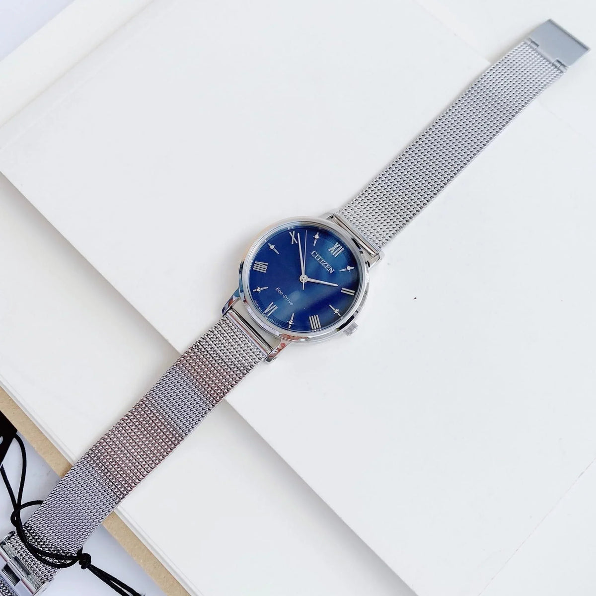 EM0571-59L Reloj Citizen Eco-Drive de mujer pulsera mesh