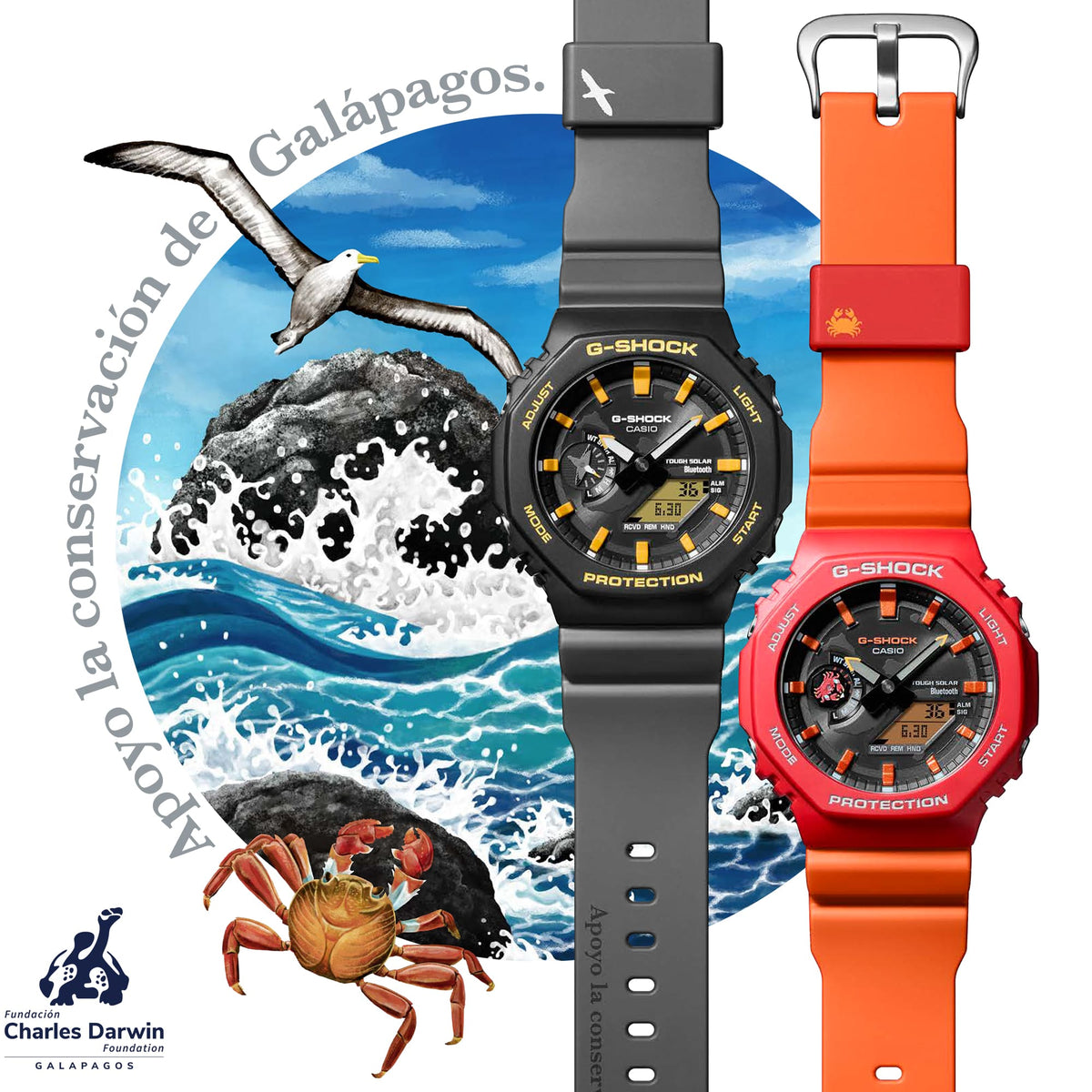 GA-B2100DF-1A Reloj G-Shock x Charles Darwin Foundation de hombre pulsera de resina Bluetooth