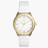 Fossil Dayle Reloj para Señorita