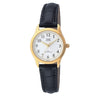 C169J Reloj QQ para mujeres
