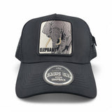 Gorras Basic Cap Con malla trasera