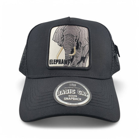 Gorras Basic Cap Con malla trasera