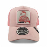 Gorras Basic Cap Con malla trasera