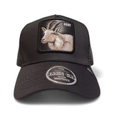 Gorras Basic Cap Con malla trasera