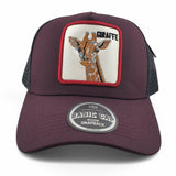 Gorras Basic Cap Con malla trasera