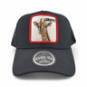 Gorras Basic Cap Con malla trasera