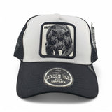 Gorras Basic Cap Con malla trasera
