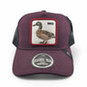 Gorras Basic Cap Con malla trasera