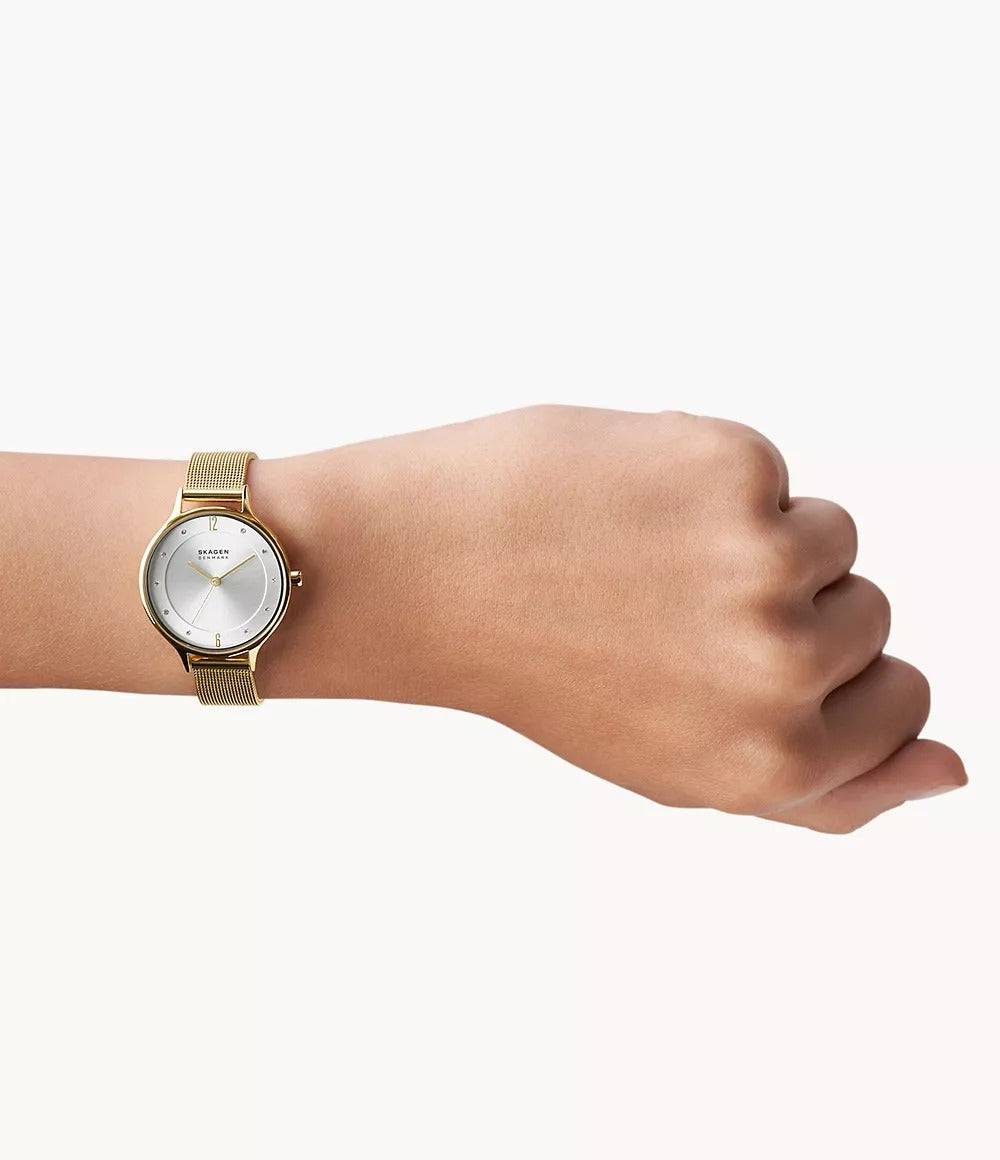 SKW2150 Reloj Skagen para dama pulsera tipo mesh