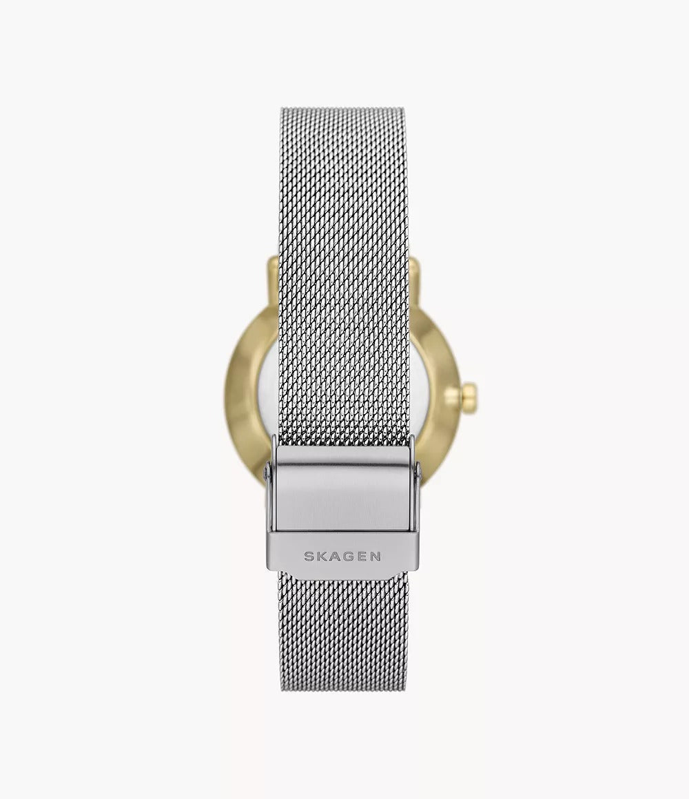 SKW3101 Reloj Skagen para mujer pulsera mesh
