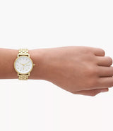 SKW3102 Reloj Skagen para mujer pulsera de metal