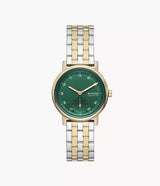 SKW3122 Reloj Skagen para dama pulsera de metal