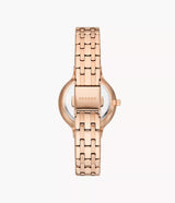 SKW3128 Reloj Skagen para dama pulsera de acero inoxidable