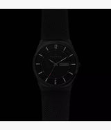 SKW6006 Reloj Skagen para hombre pulsera mesh