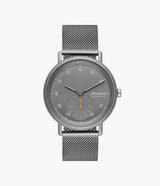 SKW6891 Reloj Skagen para hombre pulsera mesh
